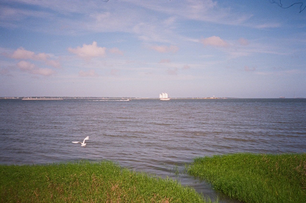 IMG_7716.jpeg