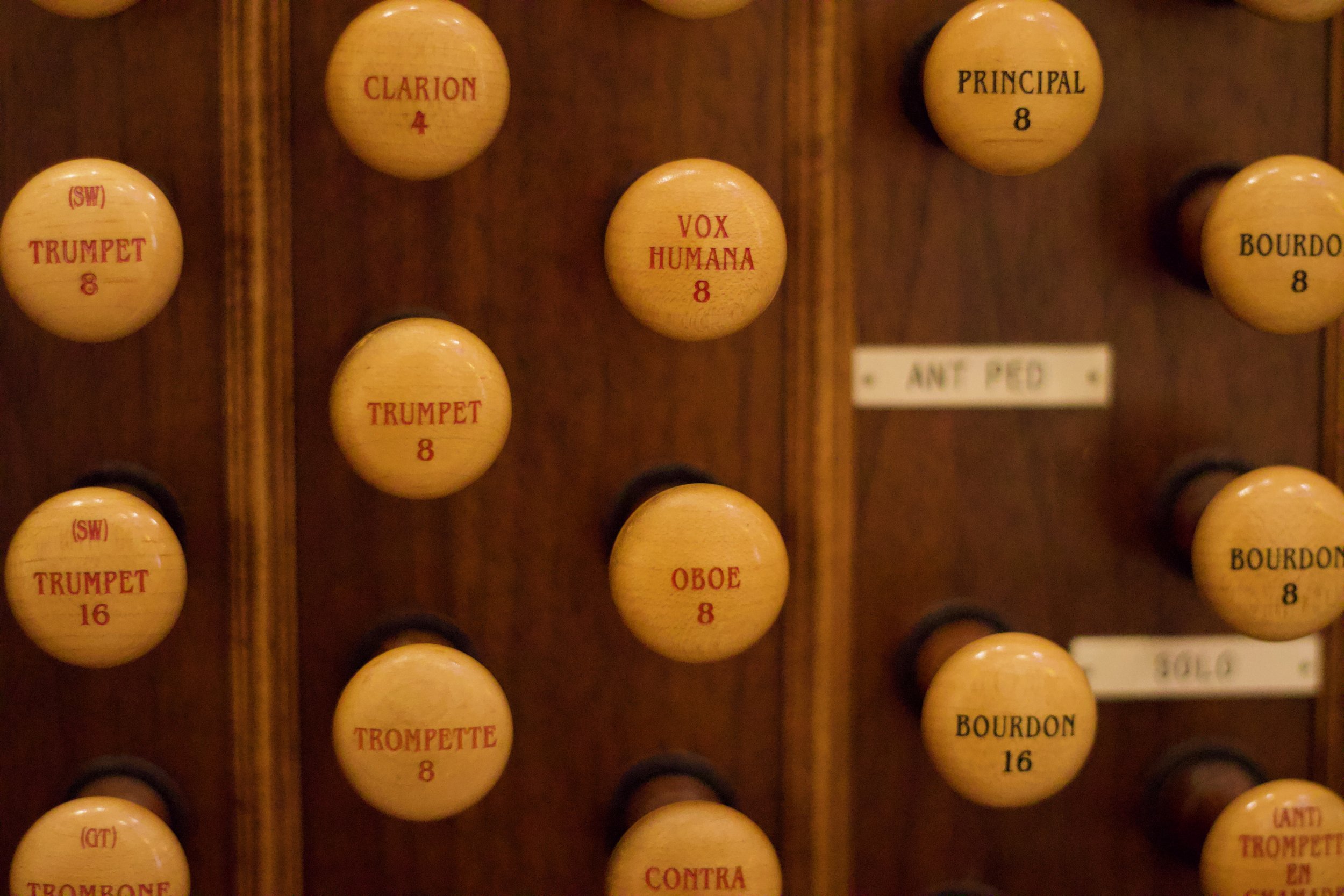 Cathedral Organ Stops