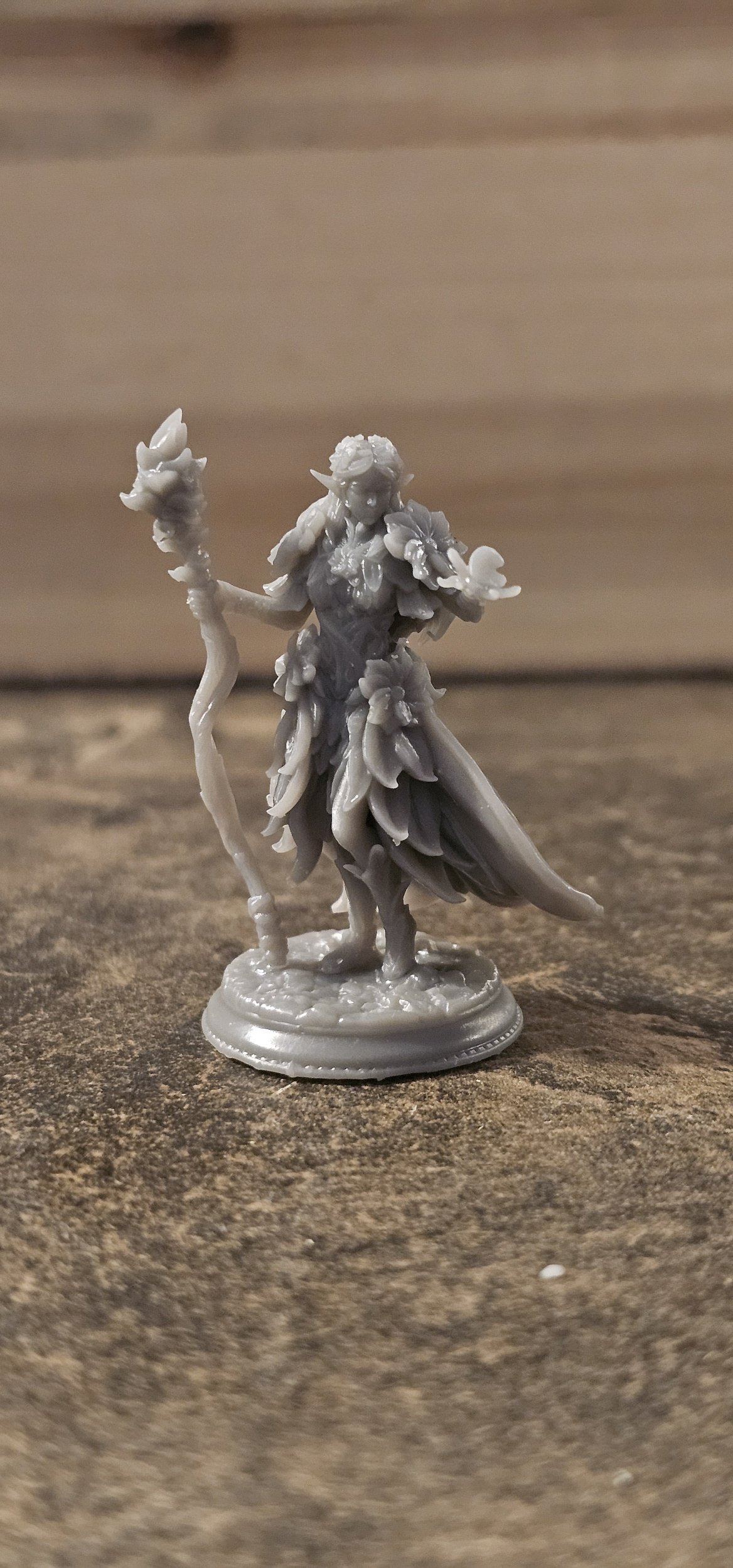 Druid