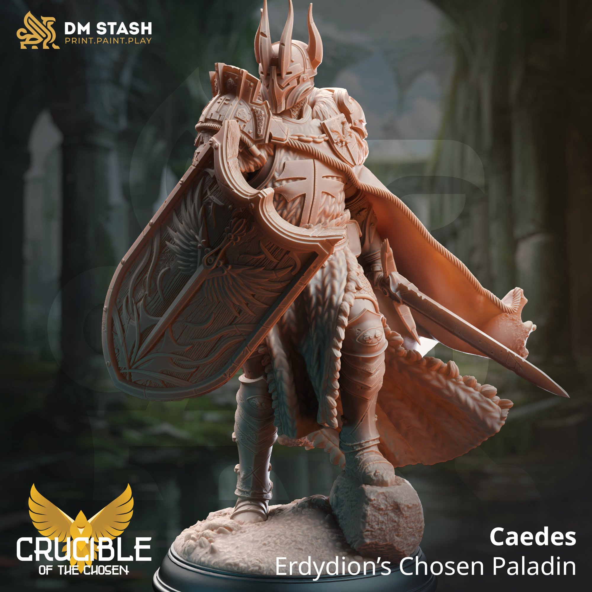 Erdydion's Chosen Paladin