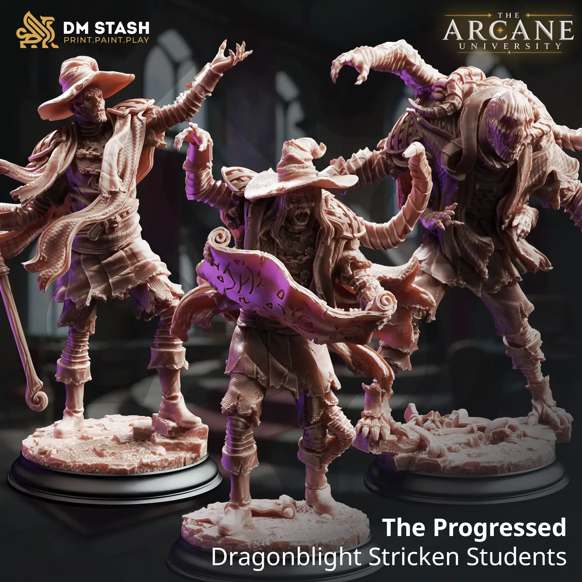 The-Progressed-Dragonblight-Stricken-Students.webp