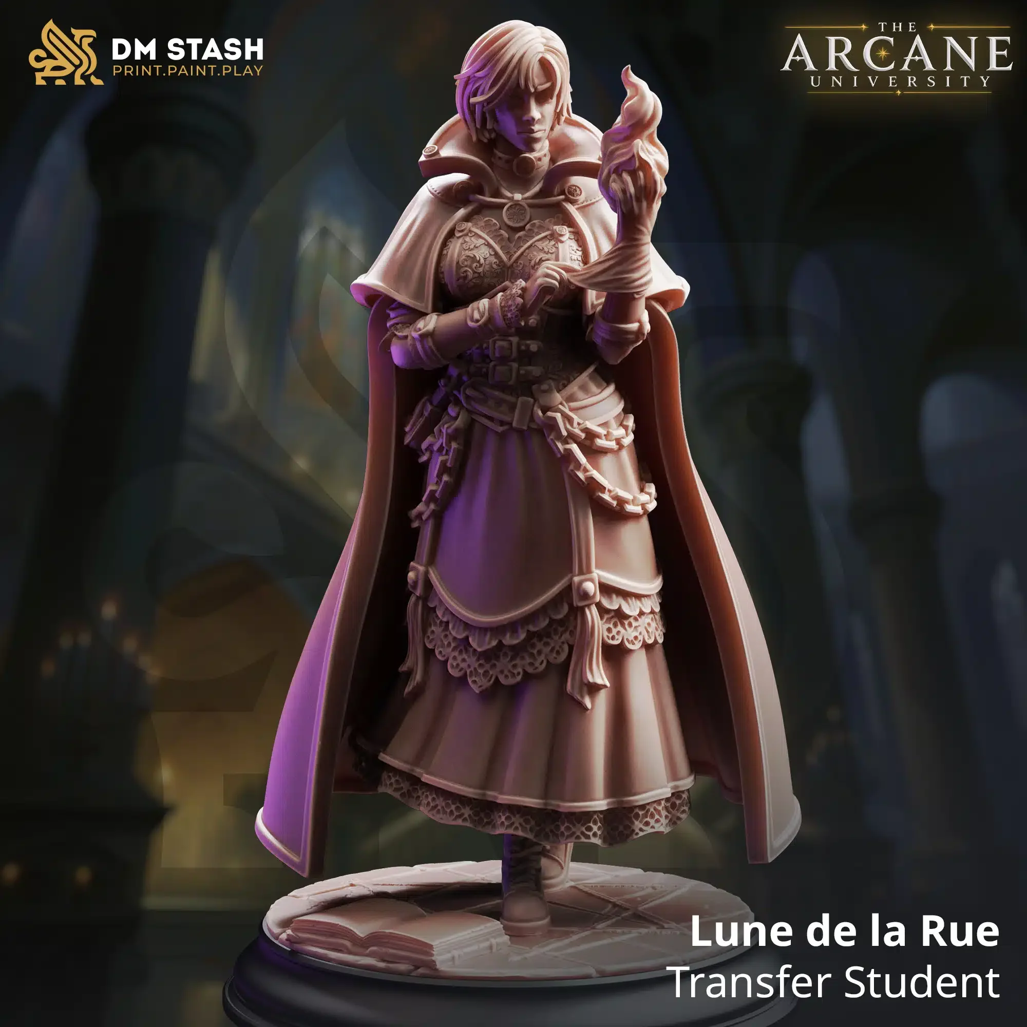 Lune-de-la-Rue-Transfer-Student.webp
