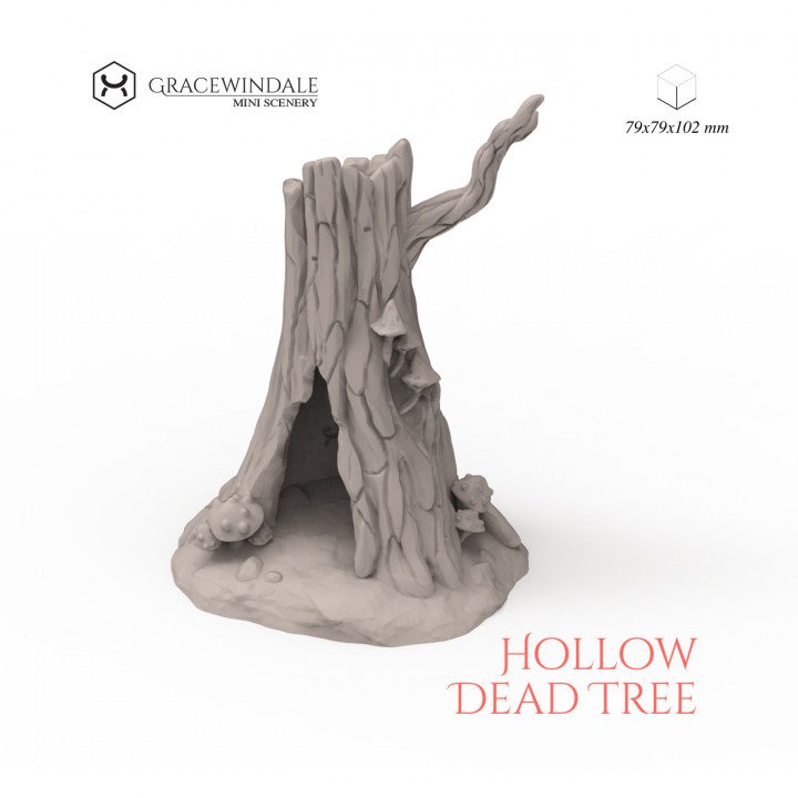 720X720-hollow-tree.jpg