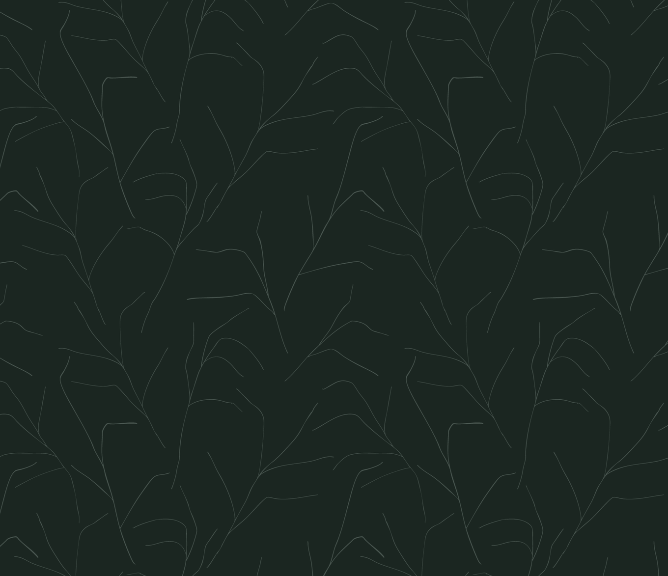 Very dark green moody design, with thin, fine, hand-drawn abstract wildflower stems. Subtle and textural.