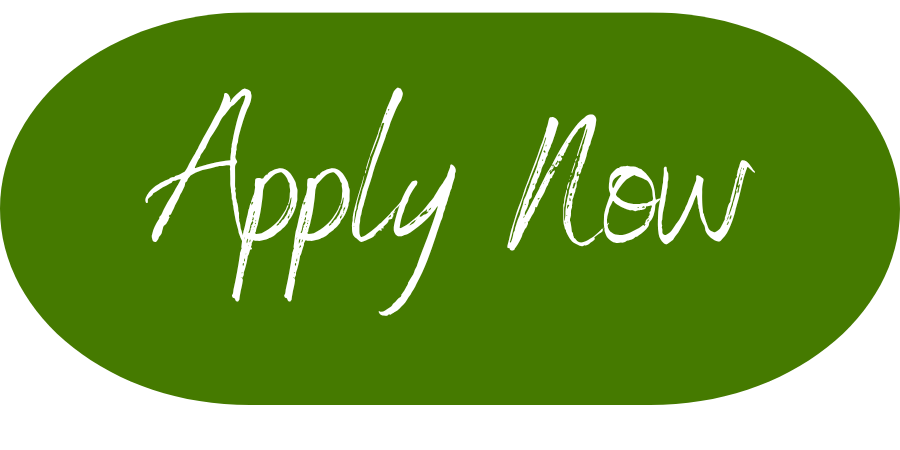 Green oval button with white handwritten text saying 'Apply Now'.