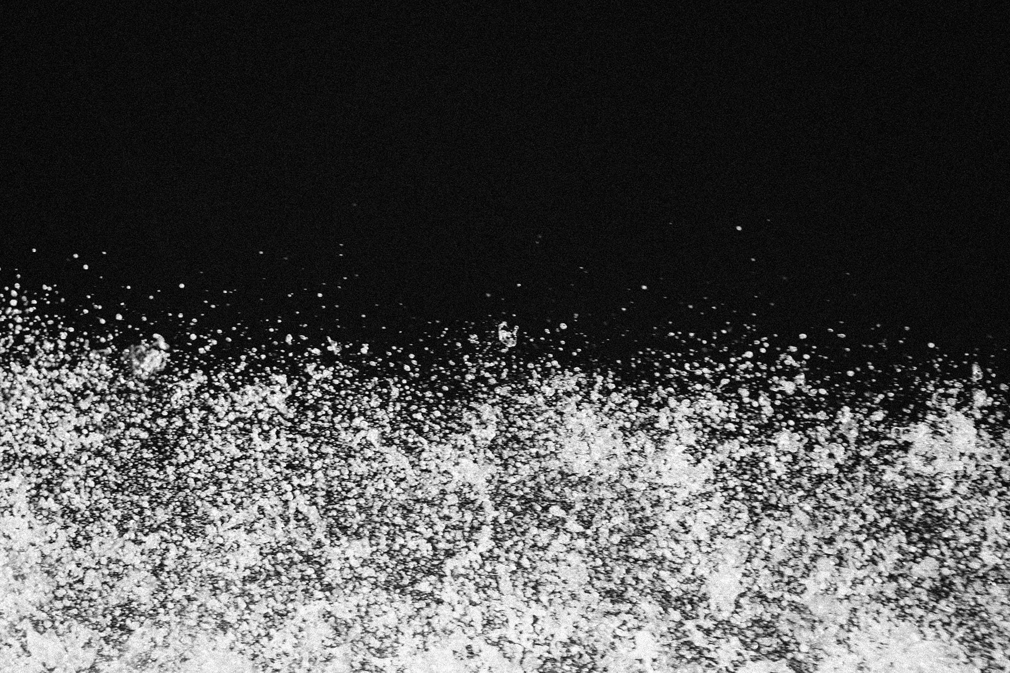 human disturbance - #1