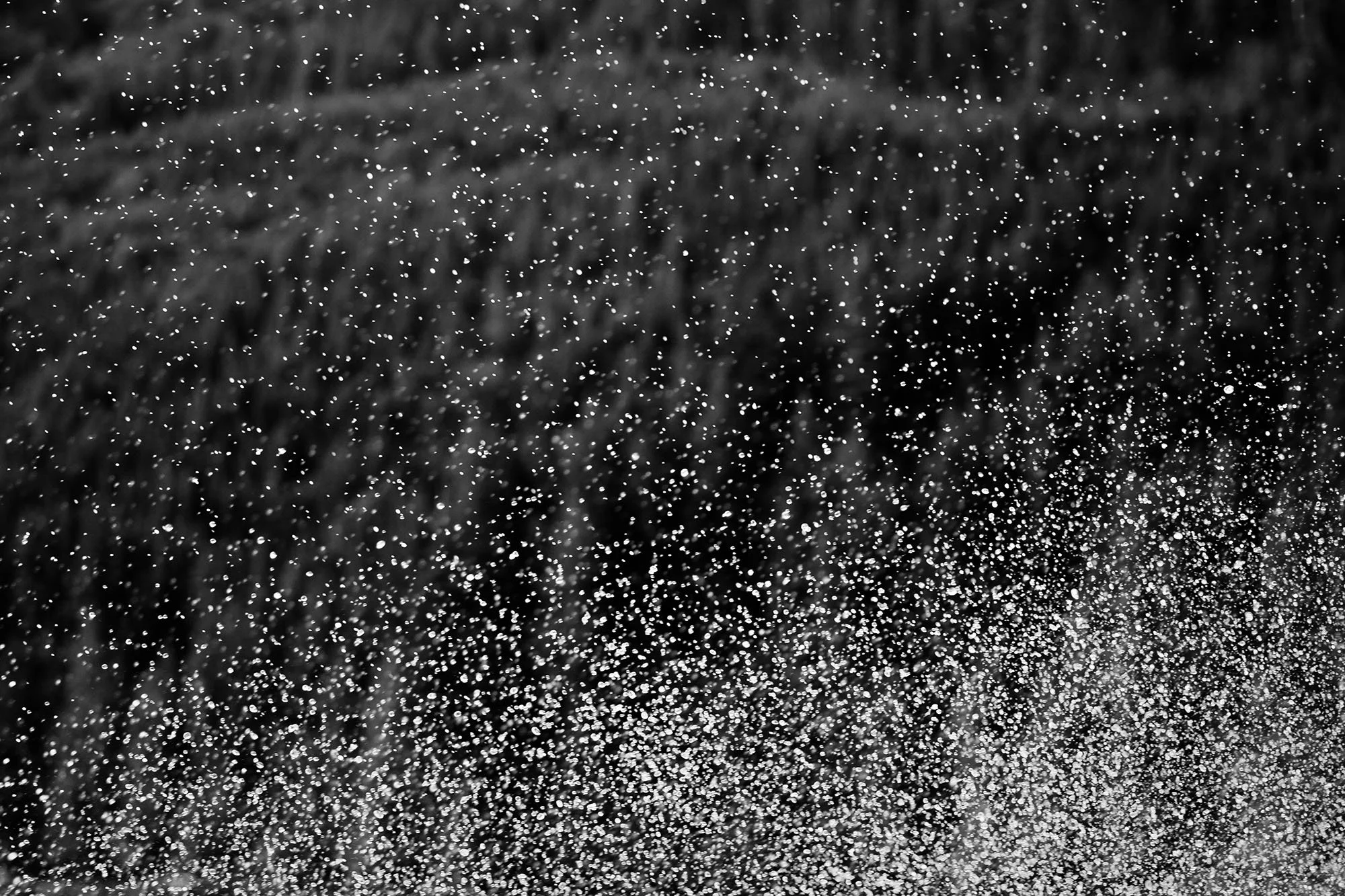 human disturbance - #8