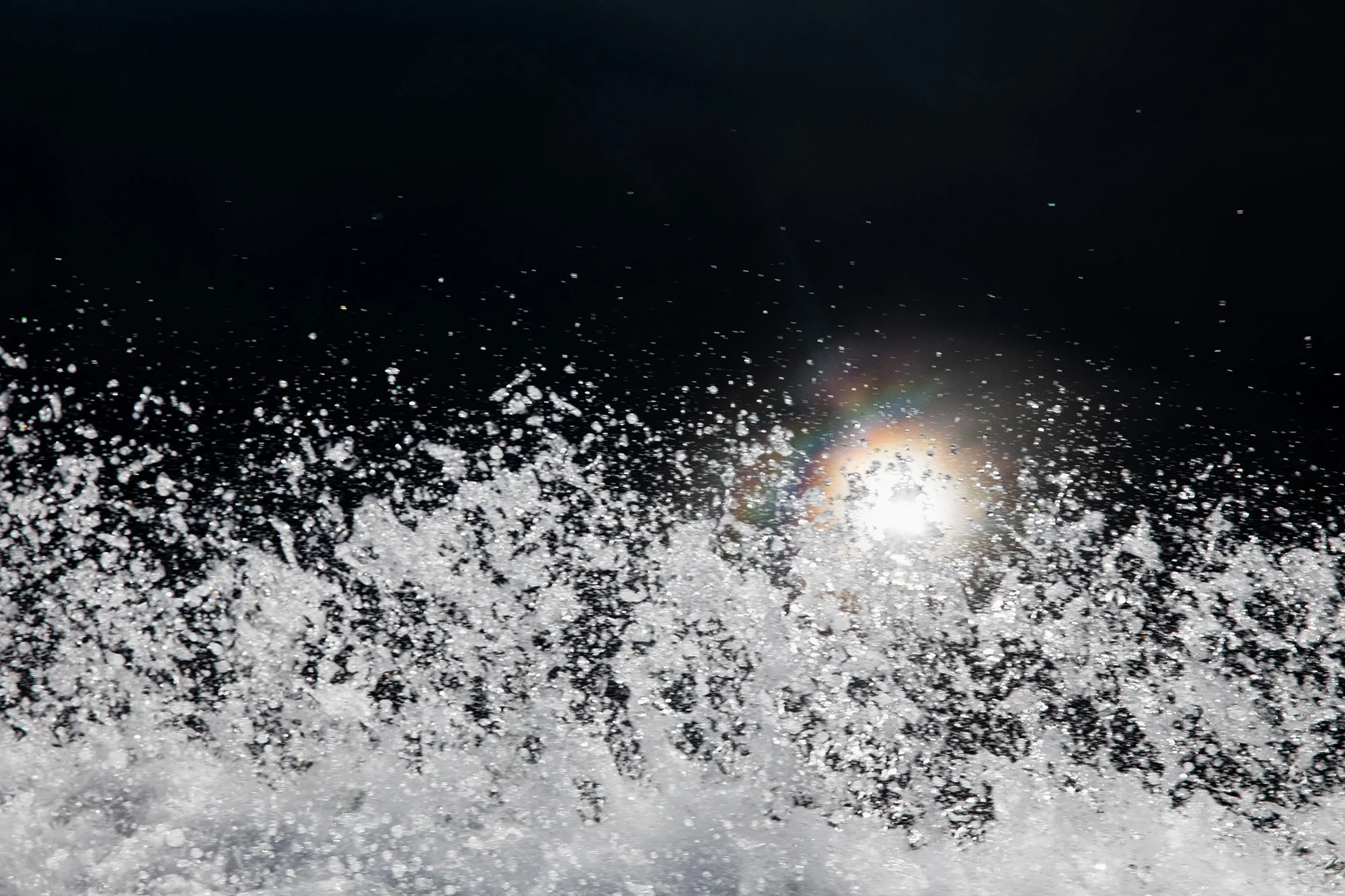 human disturbance - #13