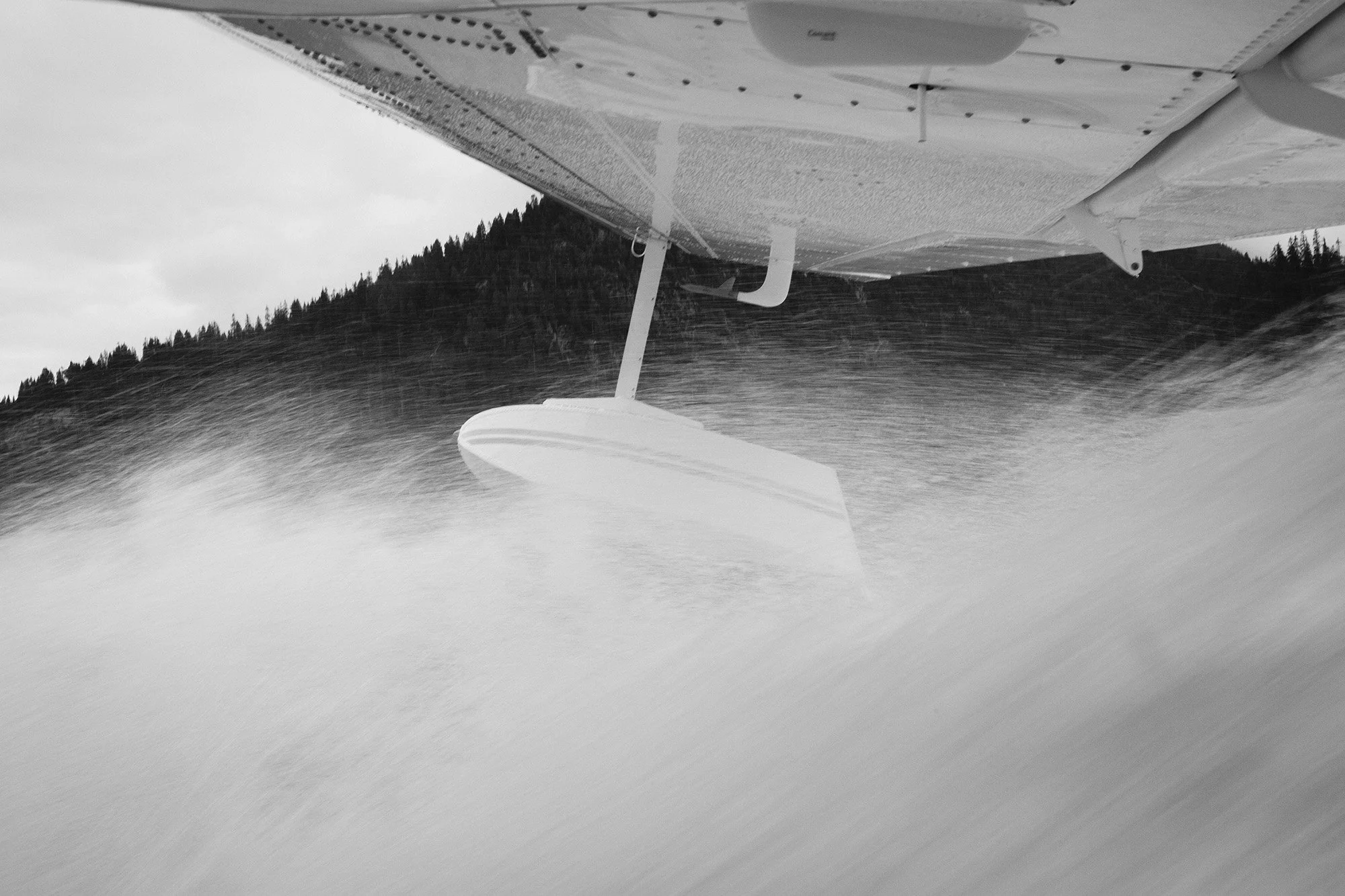 wing float series - #10