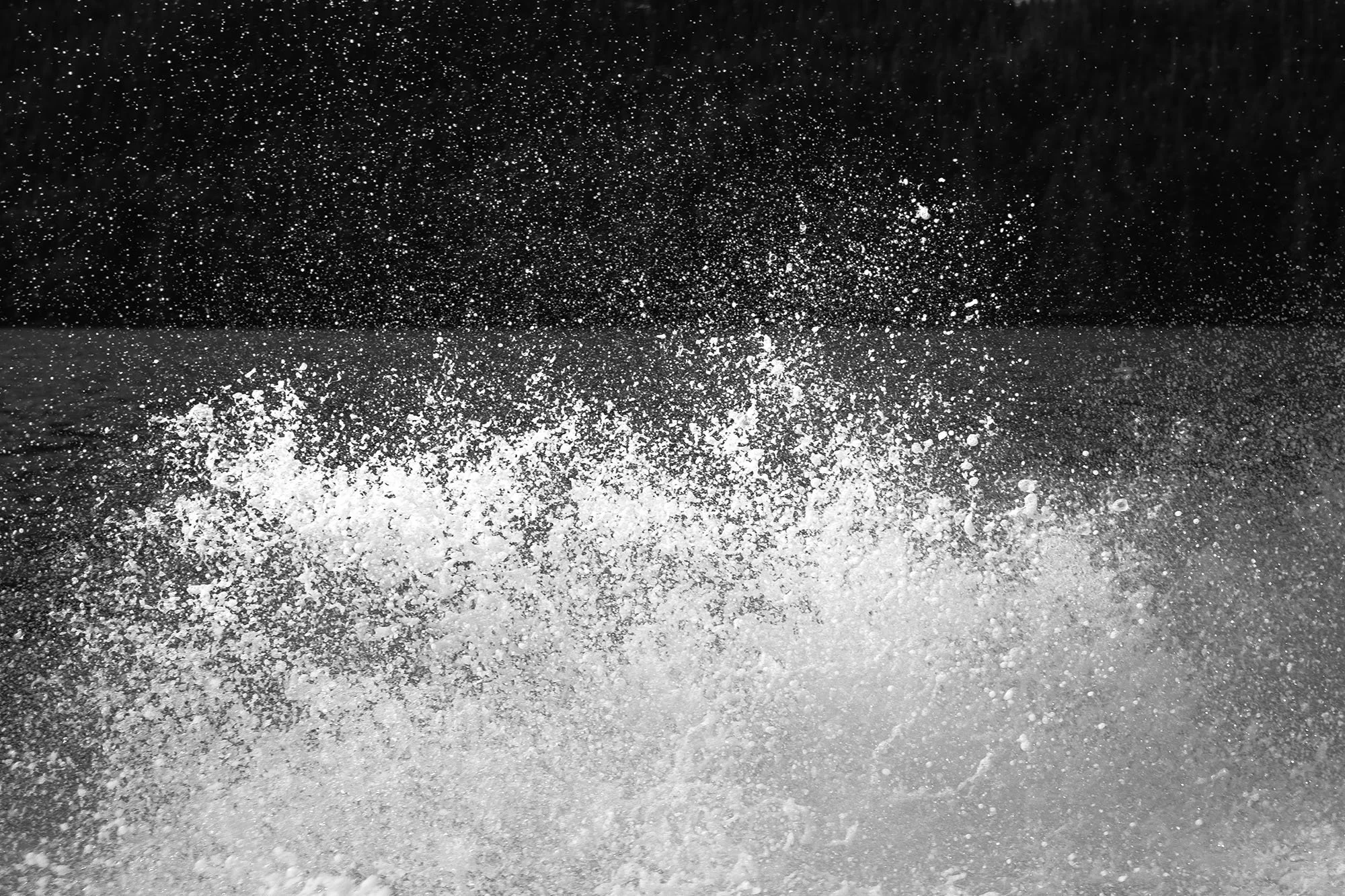 human disturbance - #5