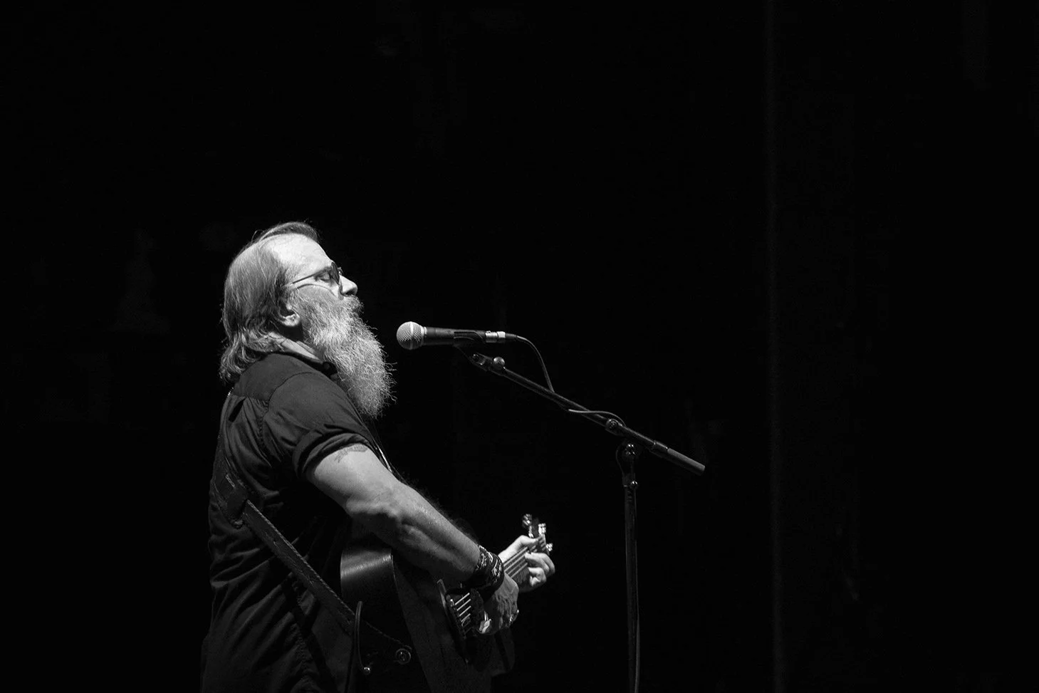 SteveEarle-concert.jpg