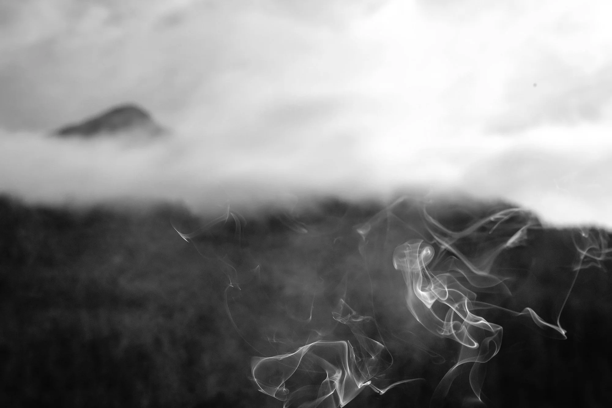 human disturbance - #6