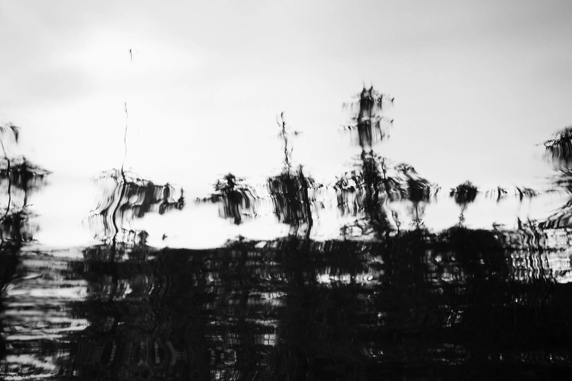 human disturbance - #2