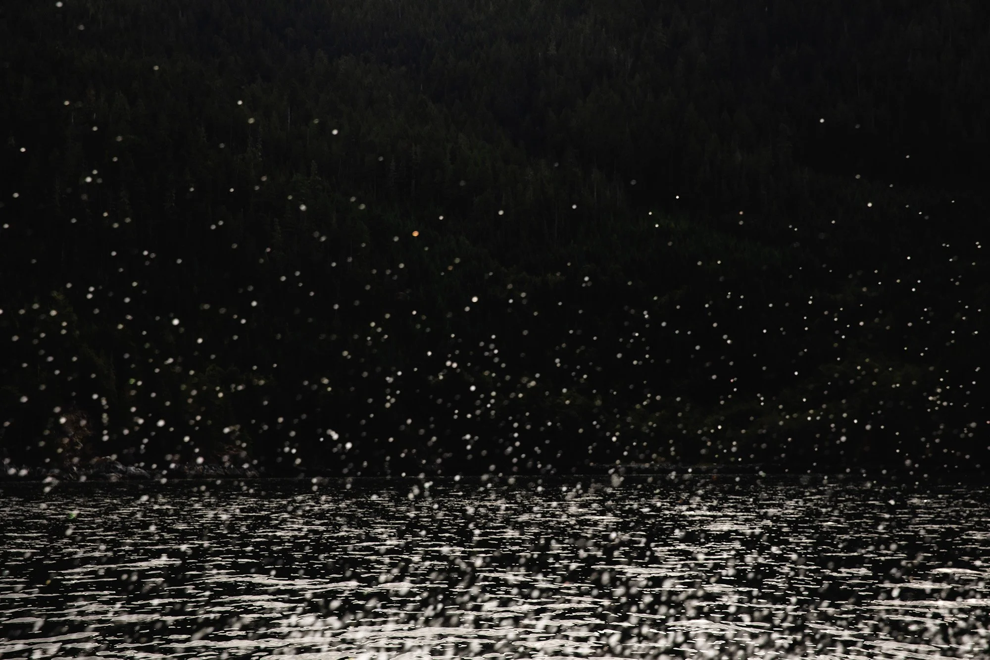 human disturbance - #3