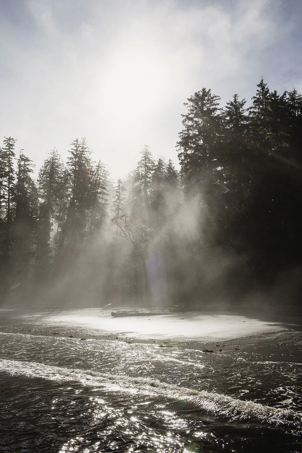 spinal energetics - 1111