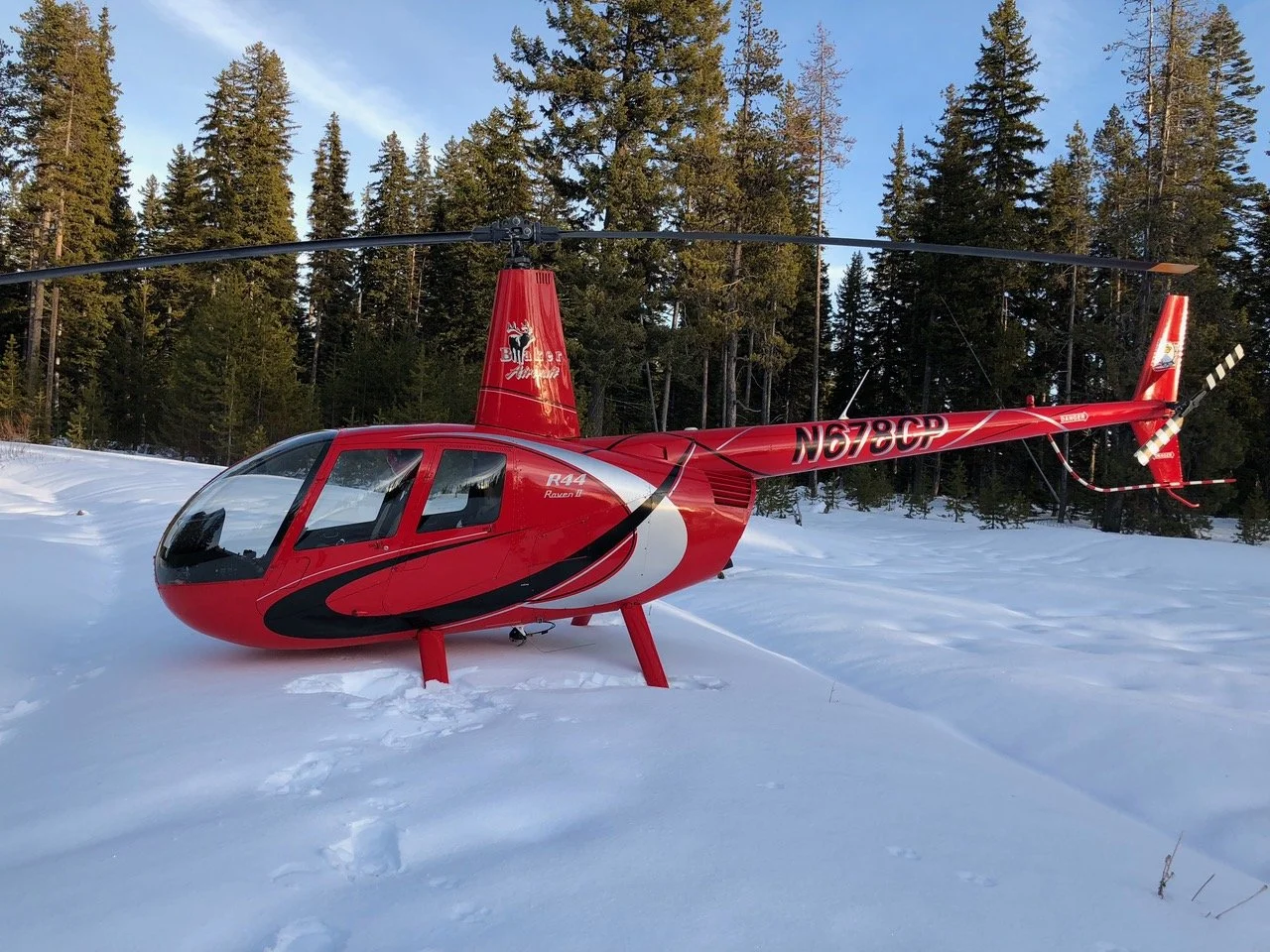 robinson-02.jpg