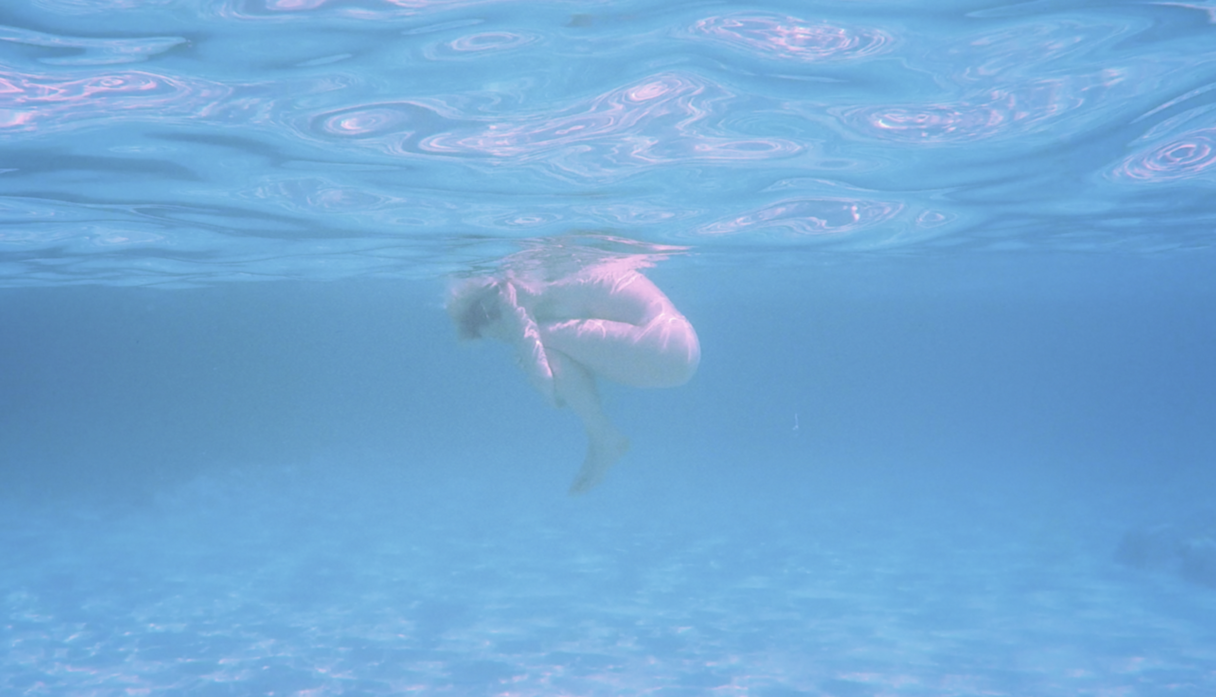 Screenshot 2026-01-16 at 1.14.57 PM.png