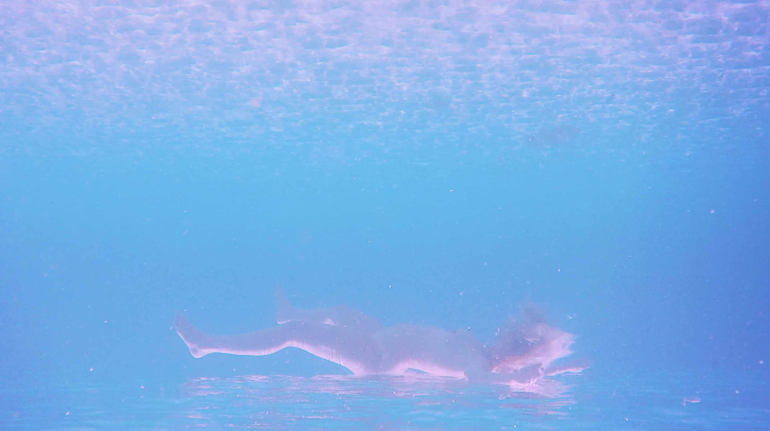 Screenshot 2026-01-16 at 1.17.22 PM.png