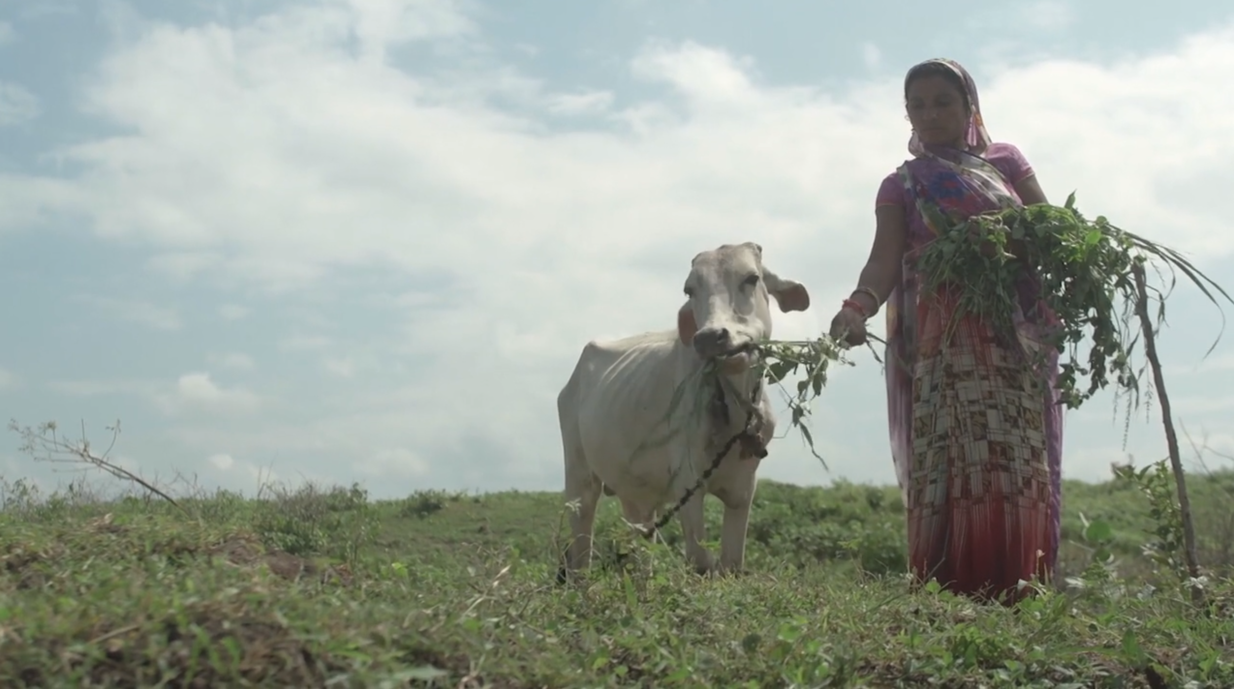 Screenshot 2026-01-15 at 6.58.43 PM.png