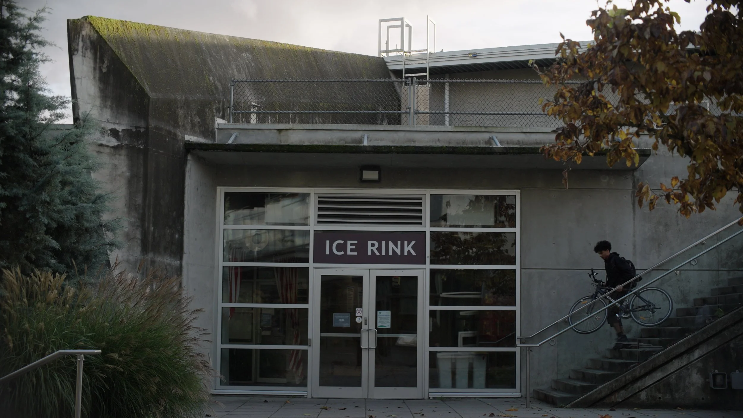 Ice Rink.jpg