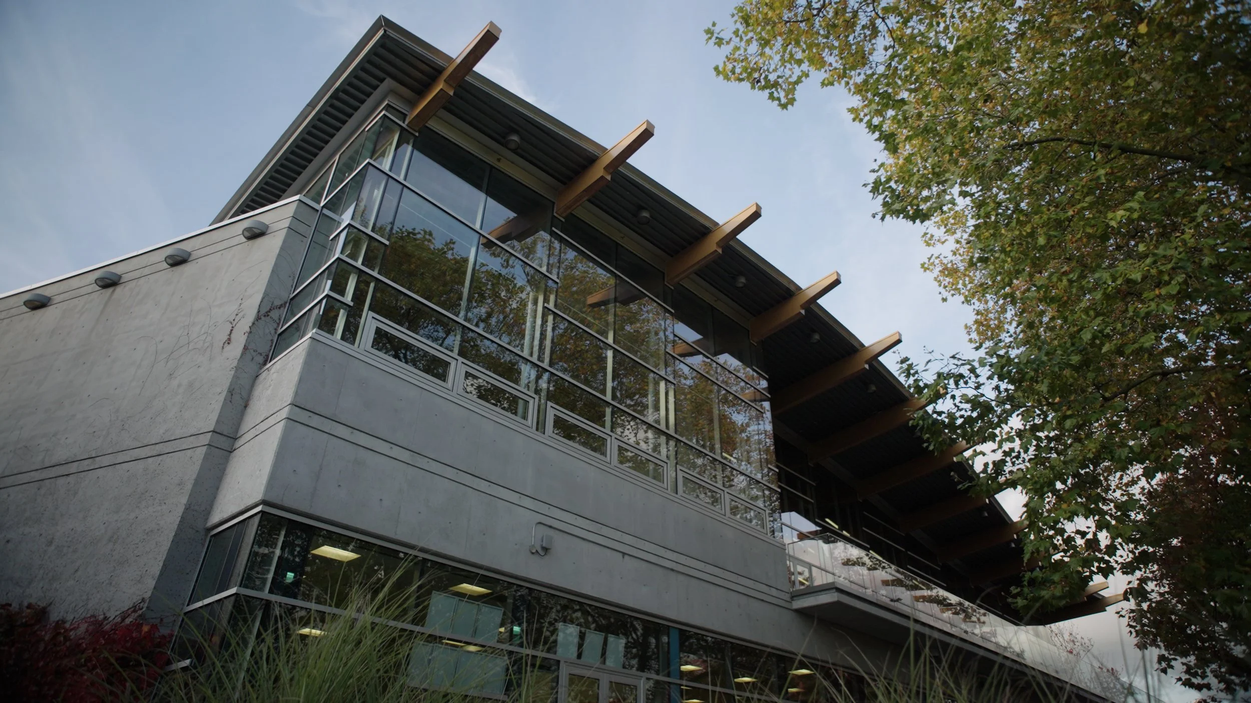 Trout lake view of roof.jpg