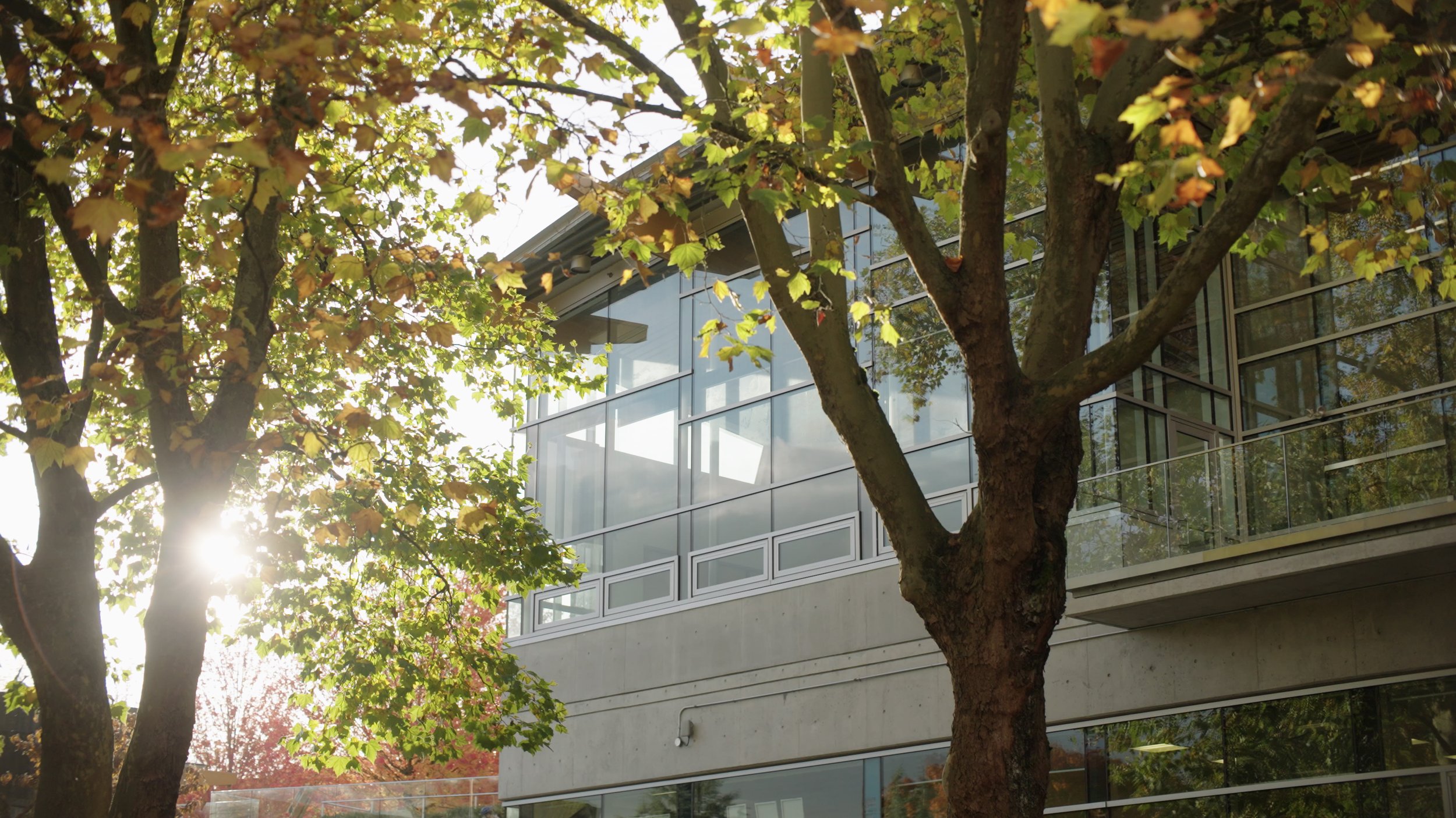 Trout lake outdoor building.jpg