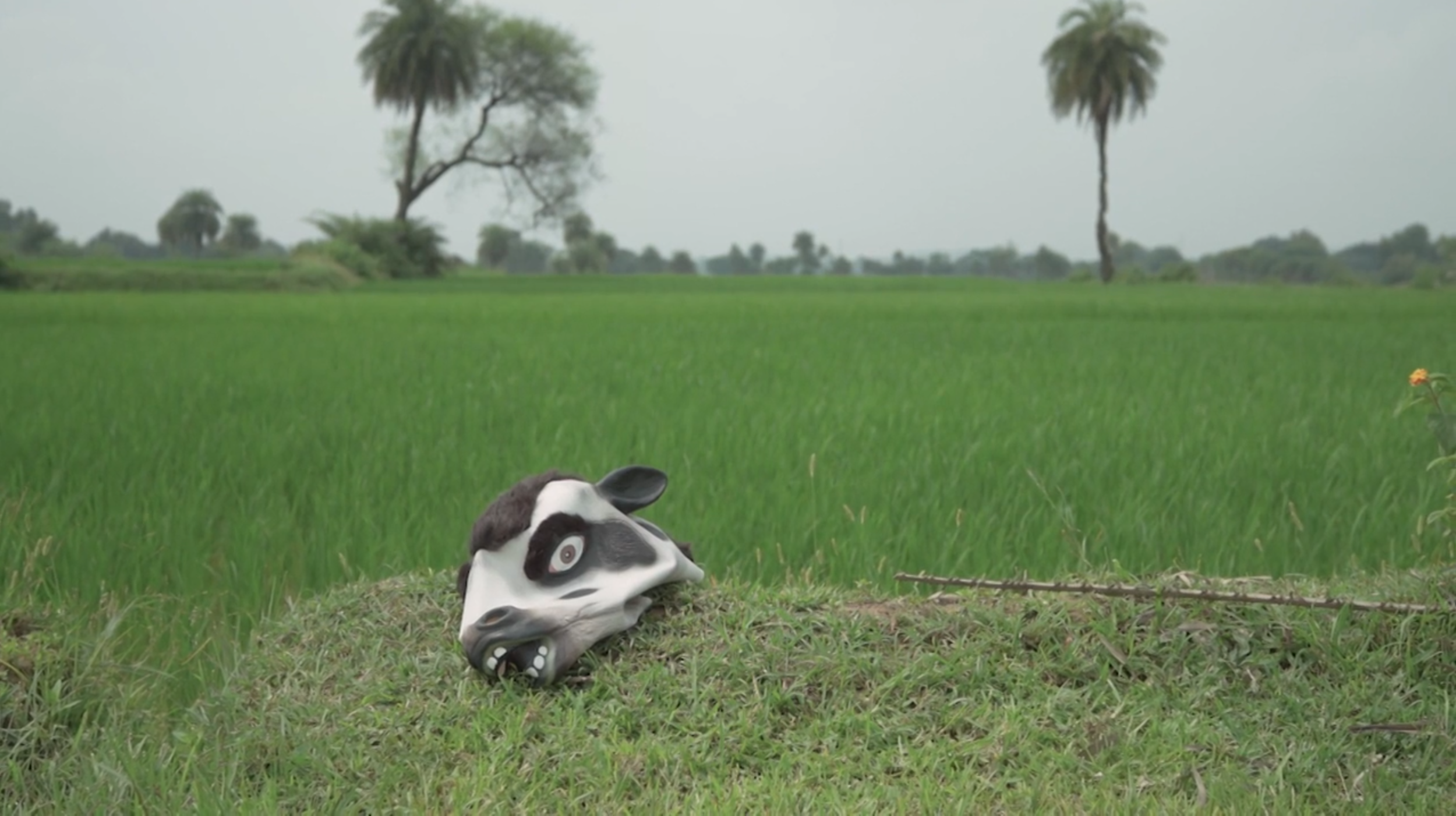 Screenshot 2026-01-15 at 6.59.32 PM.png