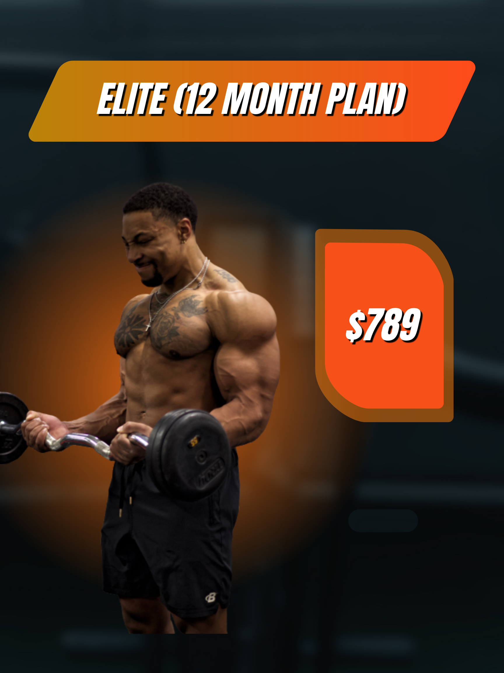 Elite (12 Month Plan)