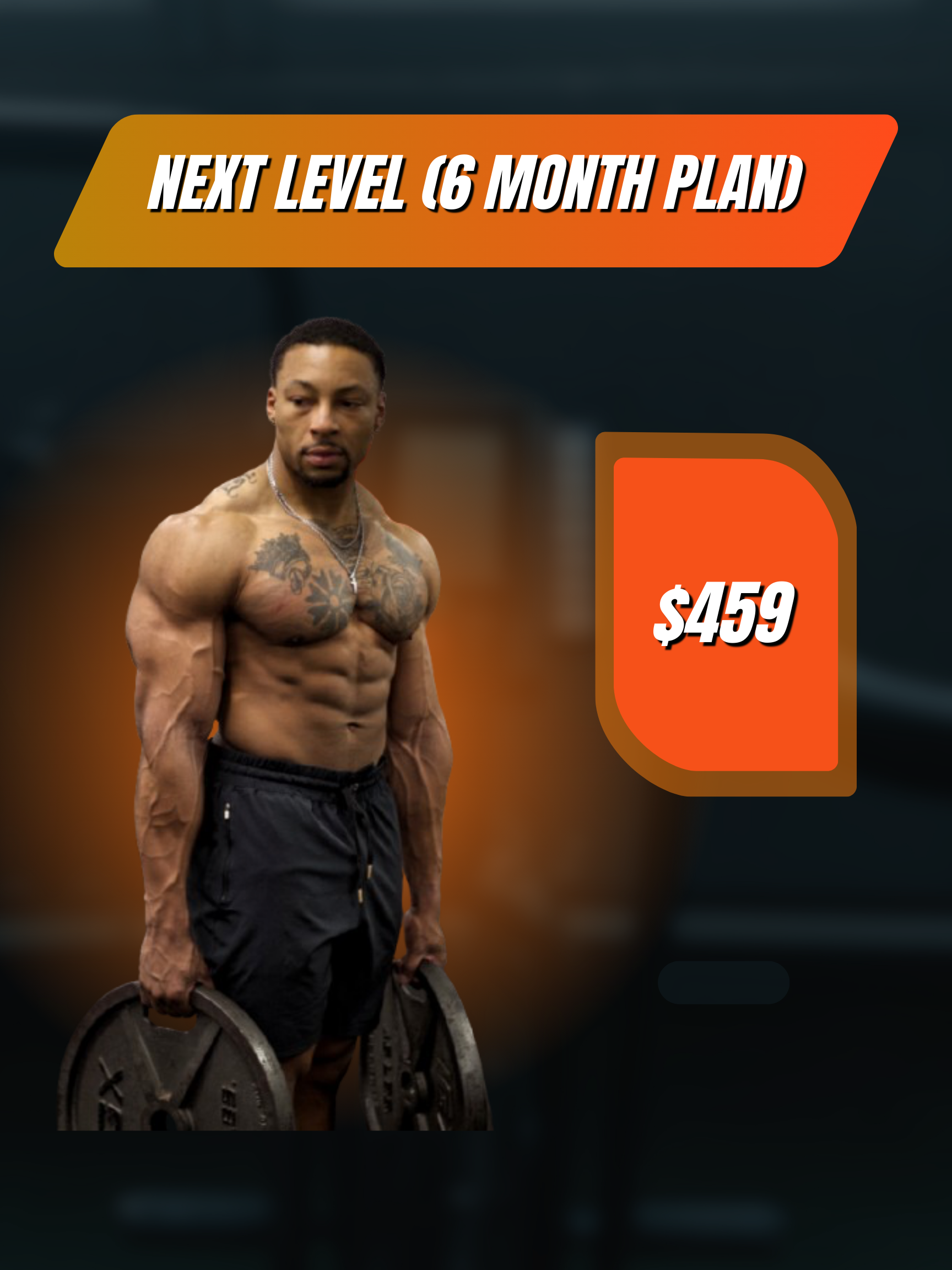 Next Level (6 Month Plan)