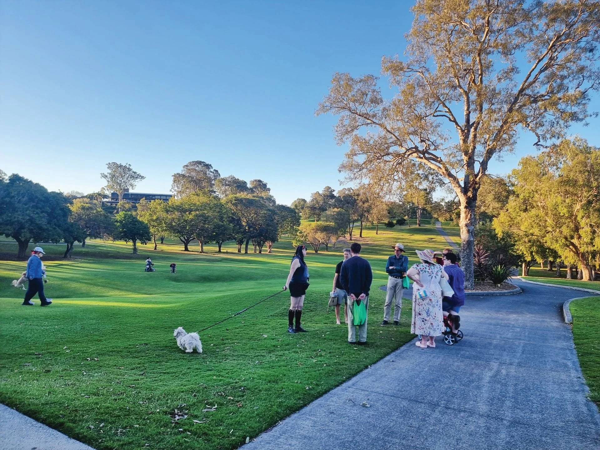 Victoria Park and the Olympics: What It Means for Our Community