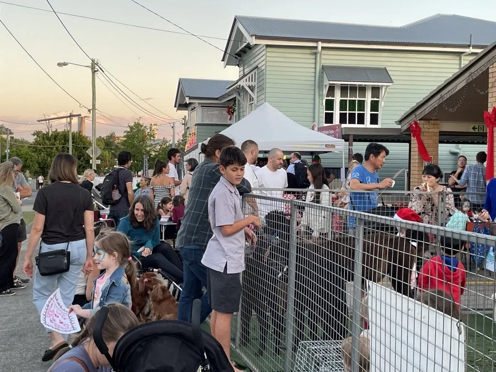 People observing small animals in an outdoor petting zoo at an event during the evening.