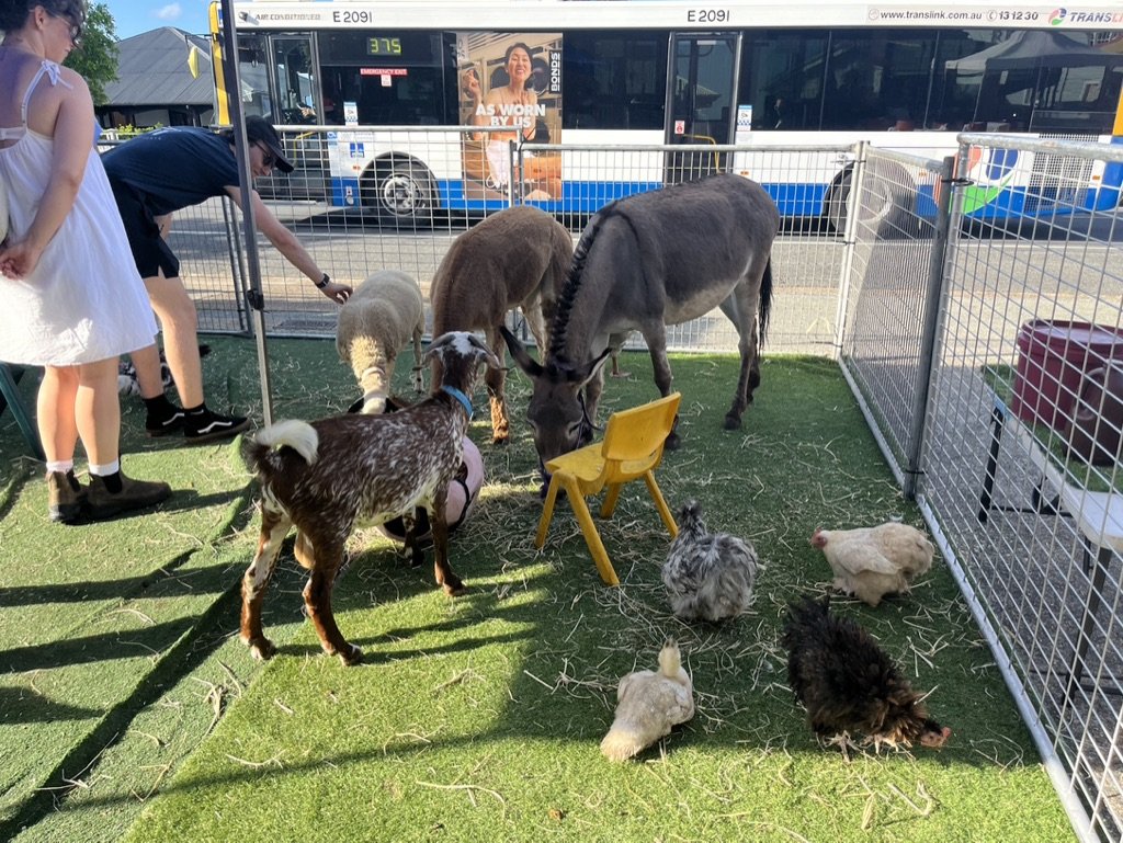 A small pen with various animals including goats, guinea pigs, and a black dog, with a woman and a young girl observing nearby, a bus with advertisements and people walking in the background.