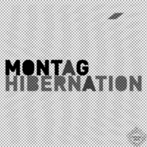 44.HIBERNATION.jpg