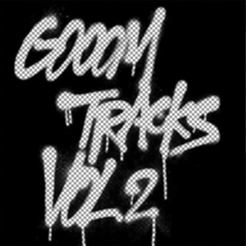 https://www.discogs.com/fr/release/267203-Various-Gooom-Tracks-Vol-2