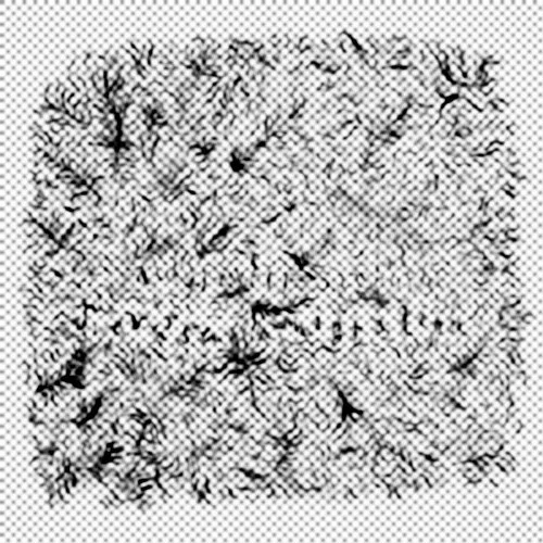 50. ARS REMIX.jpg