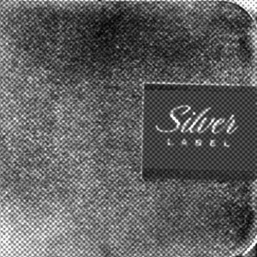 25. SILVER.jpg
