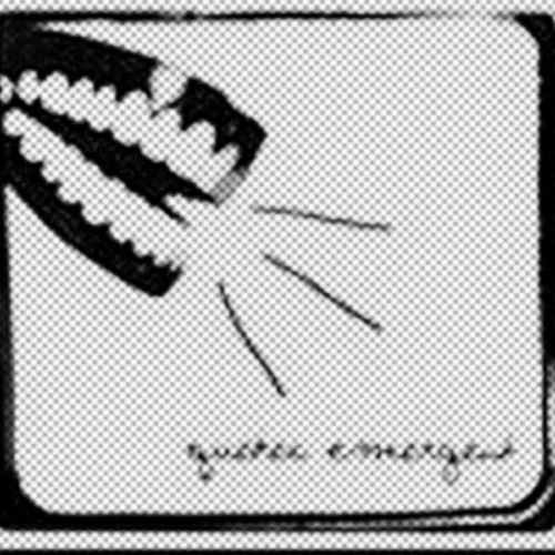 28.QUEBEC_EMERGENT.jpg