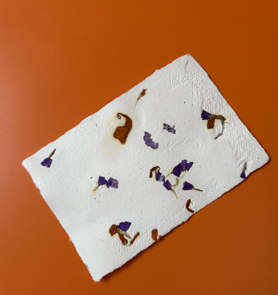 Dried purple and brown flower petals on a white textured surface with an orange background.