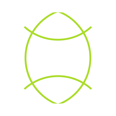 Stylized globe icon with green latitude and longitude lines on a black background.