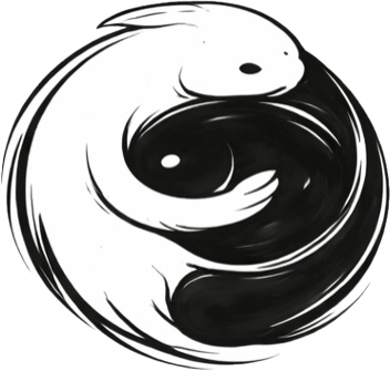 Water ReMembering Ceremonies hghghgshagshagshagshsa