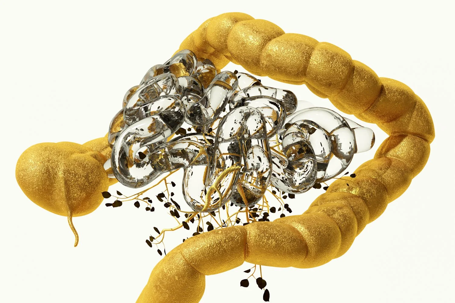 Art In Healthcare: How Evidence‑Based Design Supports Patient And Staff Wellness