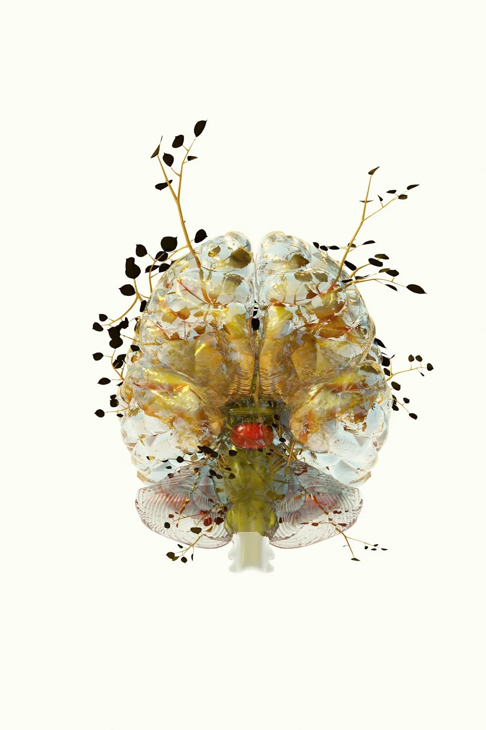 Integrating Nature-Inspired Anatomical Art into New York Hospital Environments