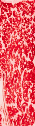Close-up of high marble beef.