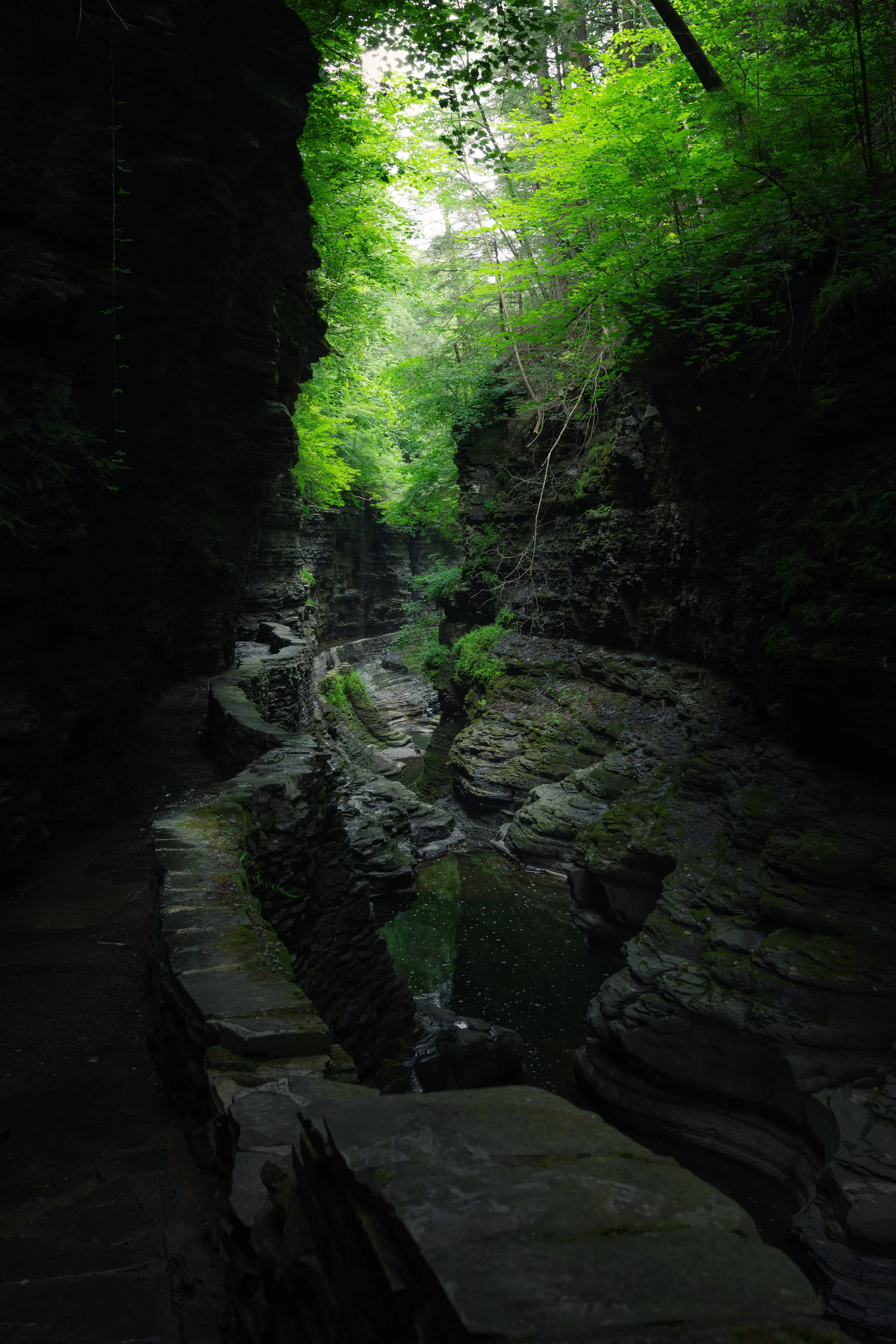 Watkins Glen.jpg