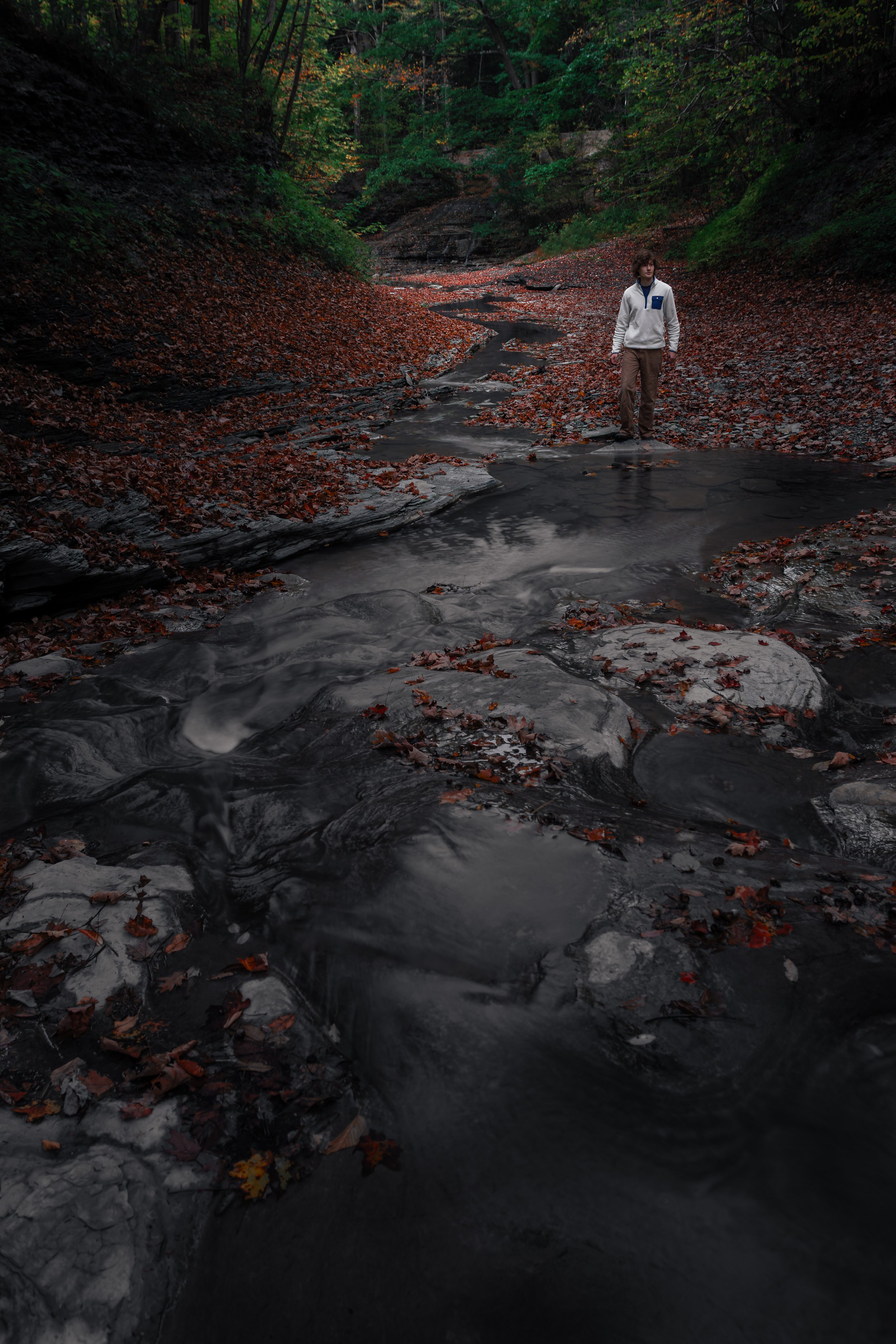 Gorge Landscape_1.jpg