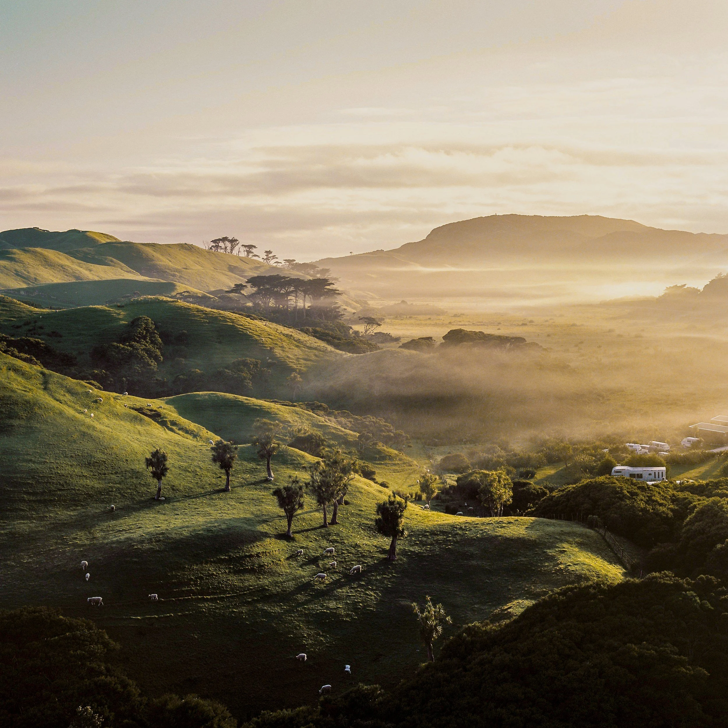Sunrise over rolling green hills with scattered trees, mist rising, and a distant mountain in the background.