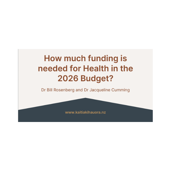 New analysis warns health funding increase will barely maintain current system