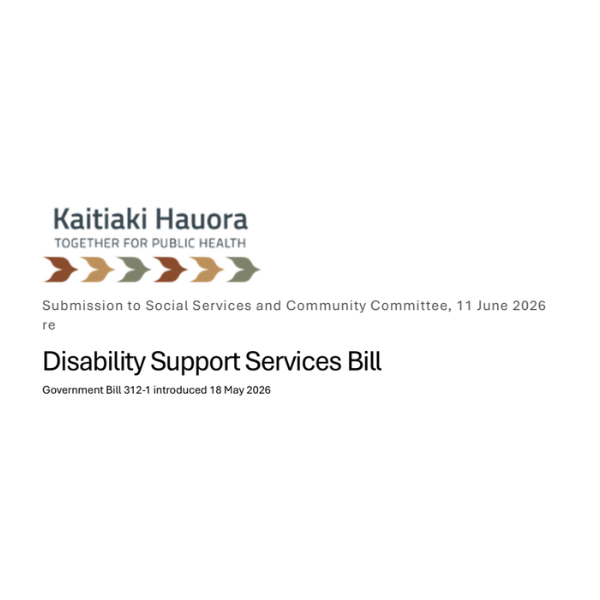 Disability Support Services Bill - our submission.