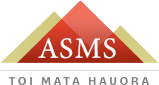 Close-up of a triangular badge with the letters ASMS printed on it, featuring red, green, and yellow colors.