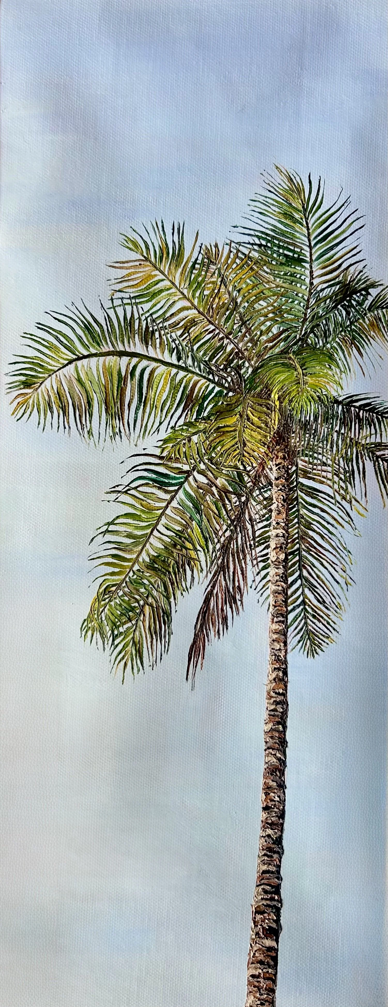 PhiPhi Palm, Oil on Canvas, 19 x 50 cm, November 2025